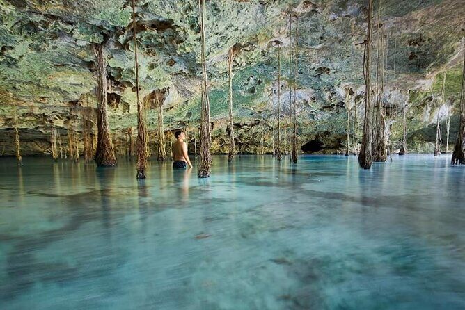 Private 4Cenote Experience, swim in the heart of the Mayan Jungle - Key highlights before you go