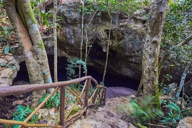Private 4Cenote Experience, swim in the heart of the Mayan Jungle - Guide George’s Approach: Friendly, Early, and Photo-Helpful