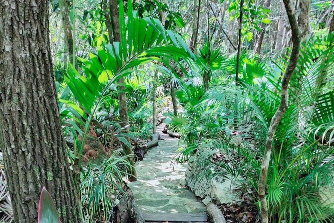 Private 4Cenote Experience, swim in the heart of the Mayan Jungle - Getting From Your Hotel and Back Again (Without Stress)