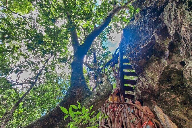 Private 4Cenote Experience, swim in the heart of the Mayan Jungle - Snorkeling Gear Included: What That Changes for Your Day