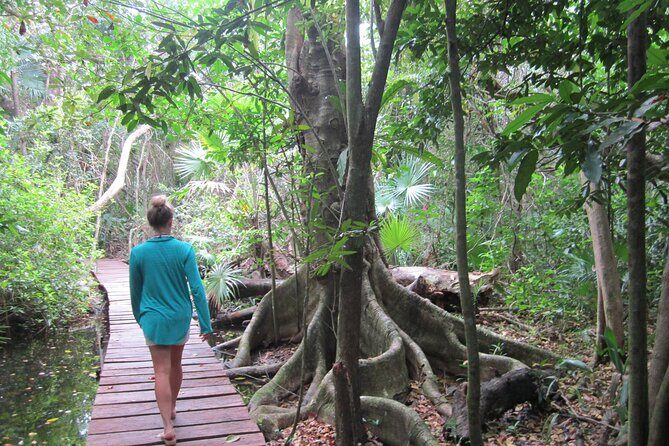 Private Birdwatching Tour in Sian Ka'an Muyil - Sian Ka’an Biosphere Reserve Optional Boat + Float: When to Say Yes