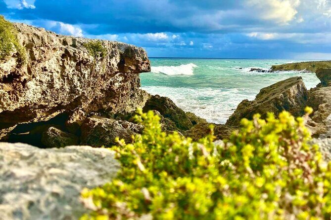Private Buggy & ATV Tour to Jade Cavern Cenote: All-Inclusive - San Martin beach plus ceviche across the street