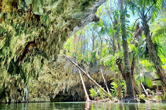Private Buggy & ATV Tour to Jade Cavern Cenote: All-Inclusive - Skyreef Beach Club snorkeling: shore access plus a real guide