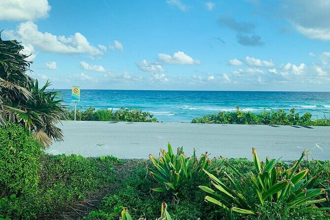 Private Buggy Tour in Cozumel, Snorkel & Lunch: All Inclusive - Price and Value: Is $85.99 Worth It?