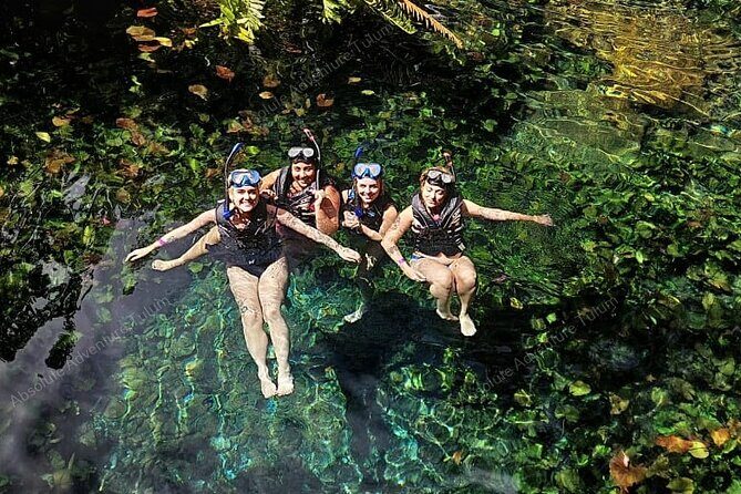 Private Cenote Snorkeling Tour – Tulum’s Hidden Gems - Price and logistics: what you really pay for ($176) and what to watch