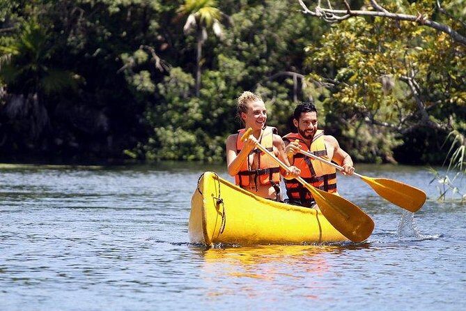 Private Coba & Jungle Adventure: Zipline, Rappel & Cenote - Pricing and value: what you’re really paying for
