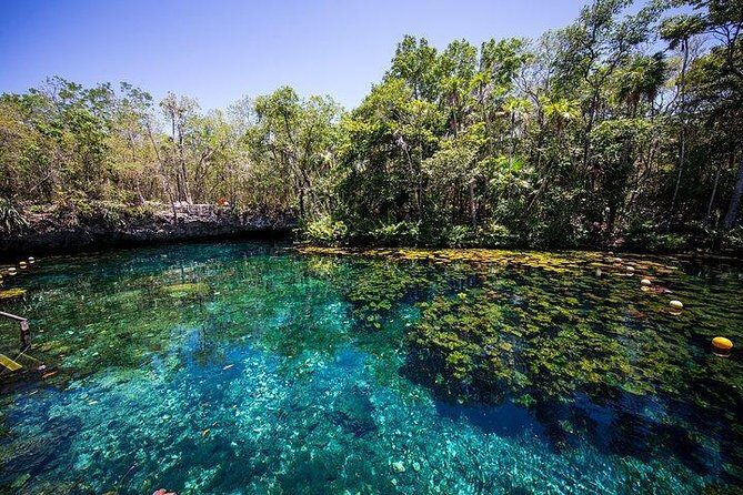 Private Coba & Jungle Adventure: Zipline, Rappel & Cenote - Who this private day trip fits best