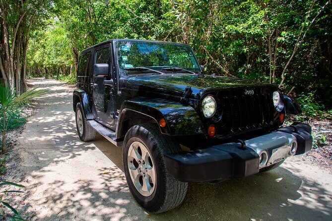 Private Cozumel Jeep and Jade Cavern Cenote Tour - Key takeaways