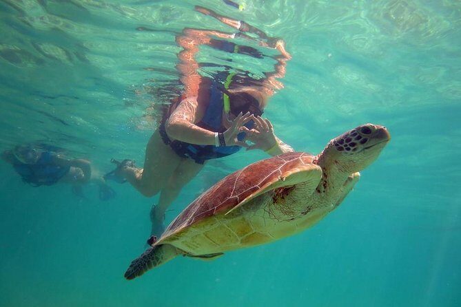 Private Experience: Akumal sea turtles encounter and Yal-kú lagoon colorfull fish snorkel. - Stop 1: Akumal snorkeling with turtles, rays, and reef life