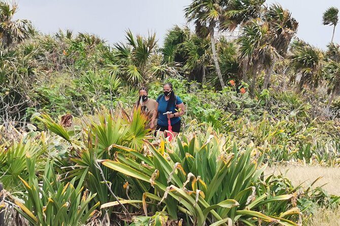 Private Full-Day Guided Tulum Coba and Cenote Tour with Lunch - Stop 2: Coba Archaeological Zone in the Rainforest