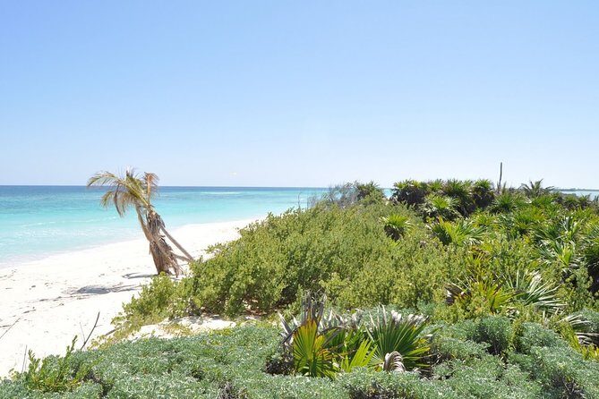 Private Full-Day Guided Tulum Coba and Cenote Tour with Lunch - Stop 1: Tulum Ruins (Zama City of the Dawn) and a Quick Cenote Break