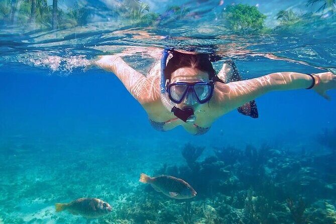 Private Half Day Tour in Cenote Cave and Swimming with Turtles - Cenote Nohoch: the limestone cave swim that starts the magic