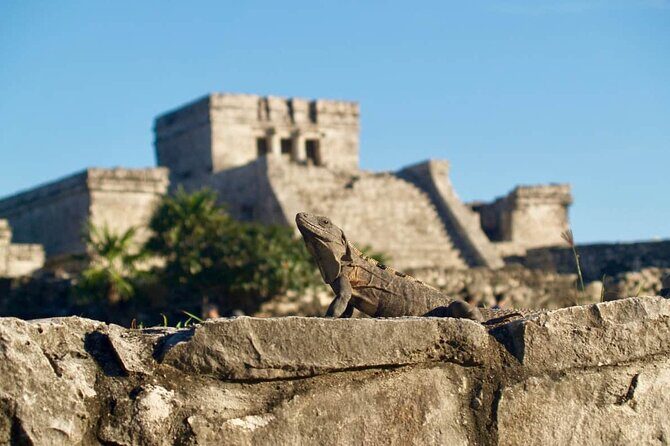 Private Half Day Tour to Tulum Temples and Downtown Shopping - FAQ