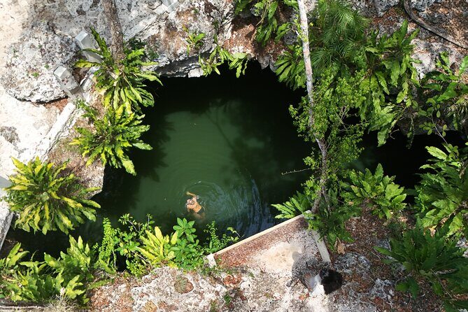 Private Jeep Cenotes Expedition in Cozumel – Swim & Mayan Park - Key Highlights You’ll Care About