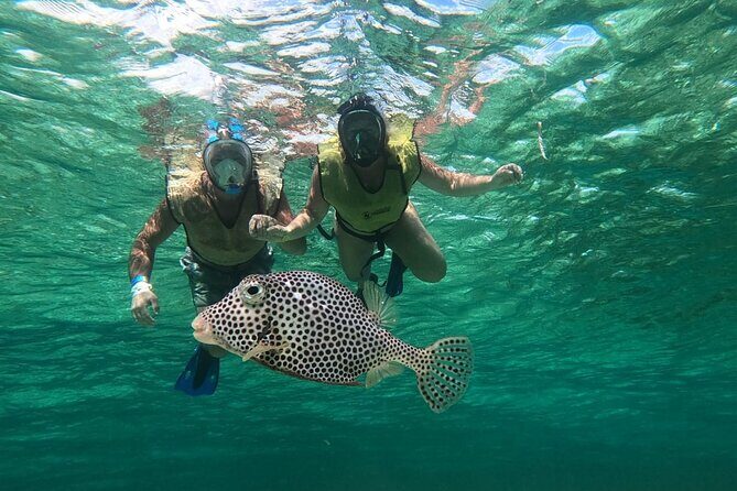 Private Jeep Tour & ATV to Jade Cavern Cenote: All Inclusive - Beaches at Playa San Martin and Playa Chen Rio Natural Pool