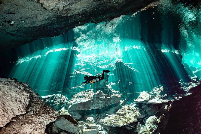 Private Scuba Diving in Cenote around Playa del Carmen - Key highlights worth knowing before you go