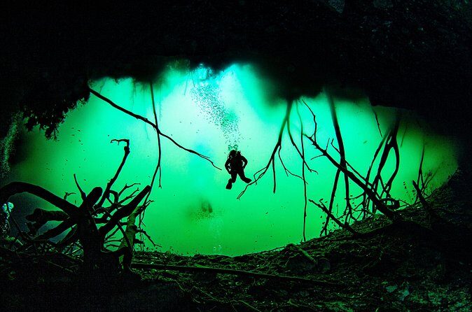 Private Scuba Diving in Cenote around Playa del Carmen - Quick tips that match how this tour is set up