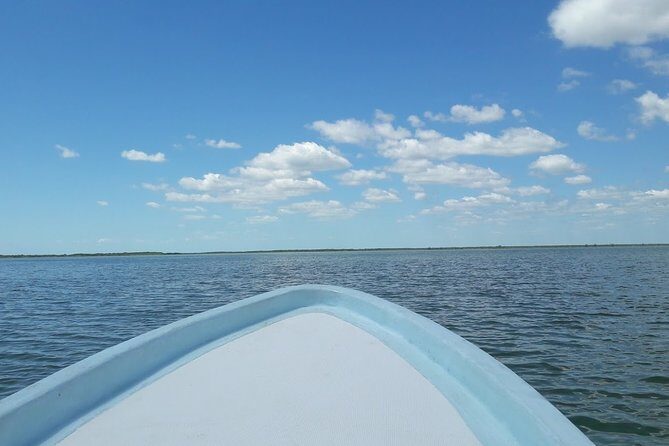 Private Sian Kaan Biosphere Tour - Inside the reserve: boat time and real wildlife odds