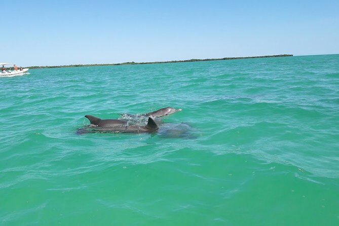 Private Sian Kaan Biosphere Tour - Lunch in Sian Kaan country: included, and often better than you expect