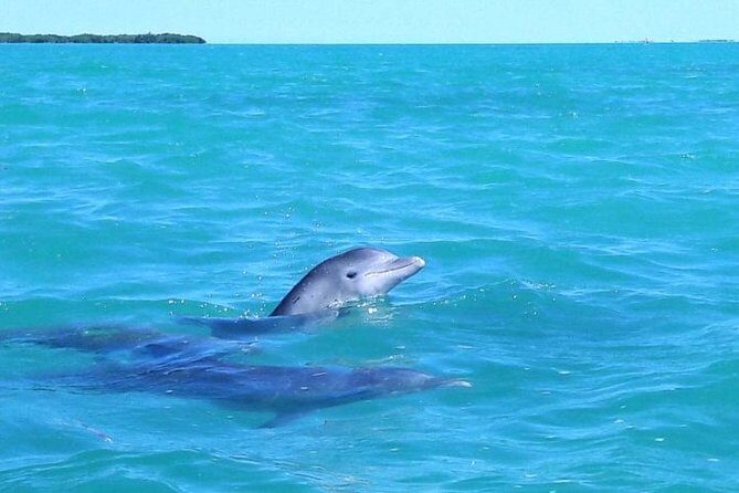 Private Sian Kaan Biosphere Tour - Getting picked up in Cancun (and when it changes your math)