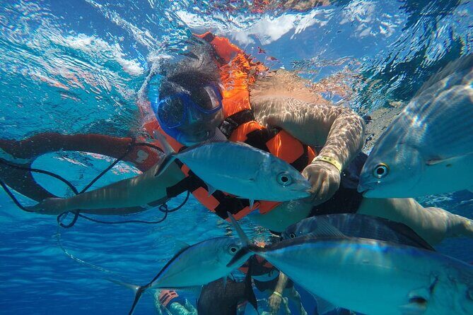 Private Sky Snorkeling Tour - Timing Tips: Why Booking Earlier Can Make the Day Easier