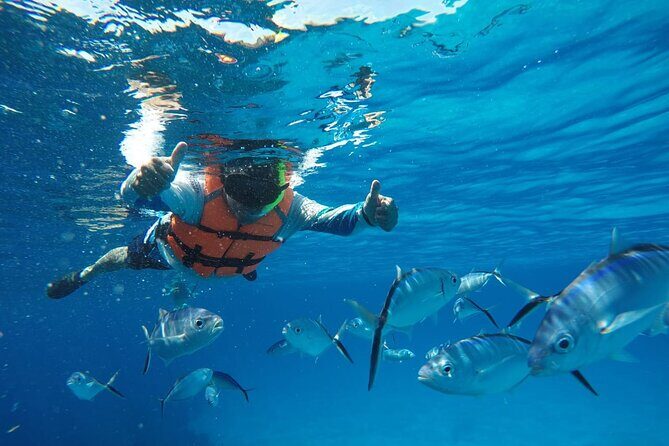 Private Sky Snorkeling Tour - Price and Logistics: The Extra Costs You Should Budget For