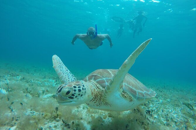 Private Sky Snorkeling Tour - Who This Tour Is Best For (and Who Might Reconsider)