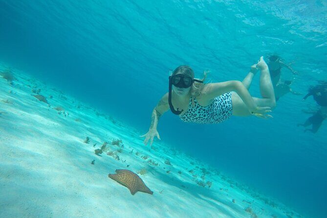 Private Sky Snorkeling Tour - Your Snorkel Day Flow: Palancar Reef, Columbia Reef, and El Cielo