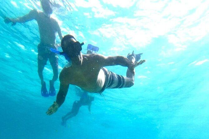 Private snorkeling tour to El Cielo - El Cielo Snorkeling in Cozumel: How This 4-Hour Trip Really Works