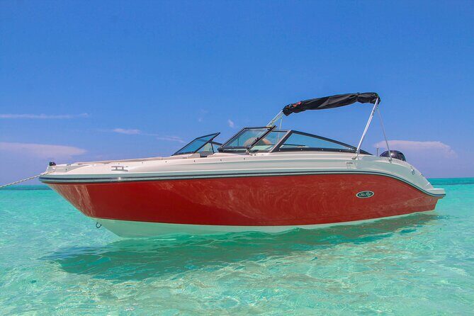 Private snorkeling with 23ft Sea Ray in San Miguel de Cozumel - Key things I’d bet on before you book