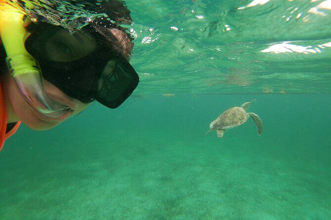Private Tour: Akumal Marine Turtle Snorkeling and Cenote Adventure - A morning plan that actually feels efficient