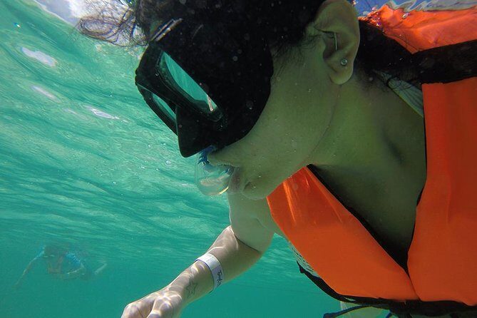 Private Tour: Akumal Marine Turtle Snorkeling and Cenote Adventure - Why the private guide changes the whole day