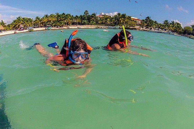 Private Tour: Akumal Marine Turtle Snorkeling and Cenote Adventure - Transportation and gear: the included stuff that saves money and effort