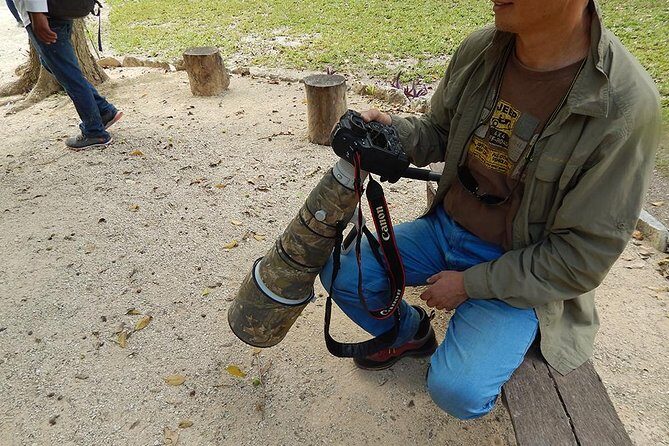 Private Tour: Birdwatching Playa del Carmen - What you’ll spot: endemic and migratory birds, plus the “small clues” approach