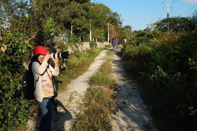 Private Tour: Birdwatching Playa del Carmen - Weather, walking, and the one real drawback to consider