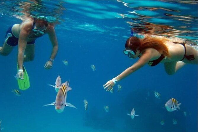 Private Tour of Cozumel in your own way Groups up to 6 People - Chankanaab Beach Park: relax time that doesn’t steal your whole day