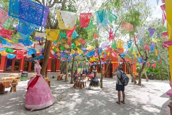 Private Tour of Cozumel in your own way Groups up to 6 People - The agave ranch, tequila tastings, and Paco the Crocodile detour