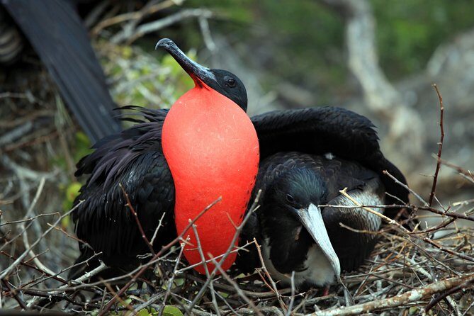 Private tour - Sian Ka´an Adventure - Price and value: what $619 gets you (and what extra you might pay)