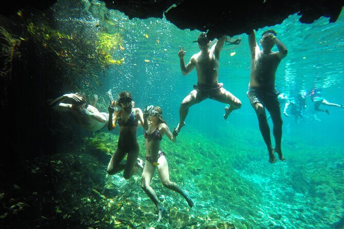 Private Tour Swim with Turtles, 2 Cenotes & Gopro - Open cenote time: crystalline water and the jump platform option