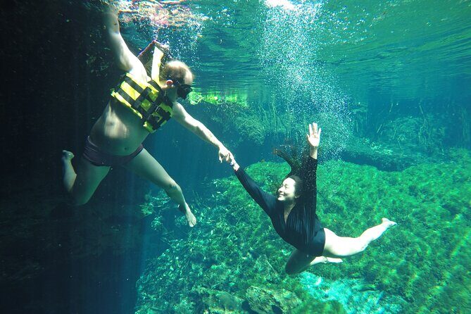 Private Tour Swim with Turtles, 2 Cenotes & Gopro - Value and pacing: why this itinerary works as a private day