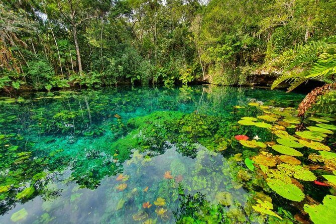 Private Tour Tankah 3 Zip Lines 3 Cenotes Canoe Snorkel Community - Entering the Tankah Mayan community: sustainable, organized, and human-scale
