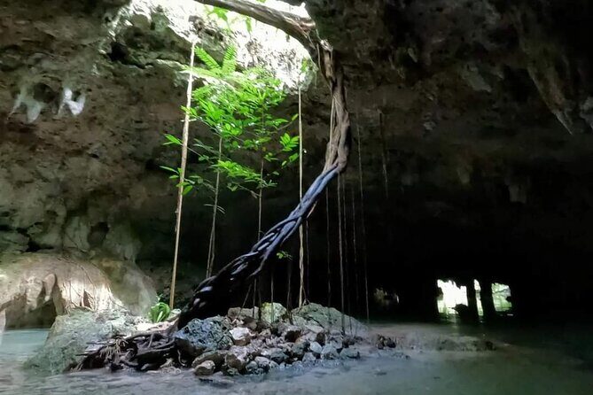 Private Tour to Tulum Cenotes Sac Actun - Cenotes Sac Actun and Cenote Sacactum: what makes it special