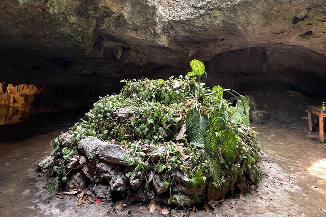 Private Tour to Tulum Ruins And Cenote Yax Muul with Lunch - Pickup to Ruins: How This Day Runs in Real Life