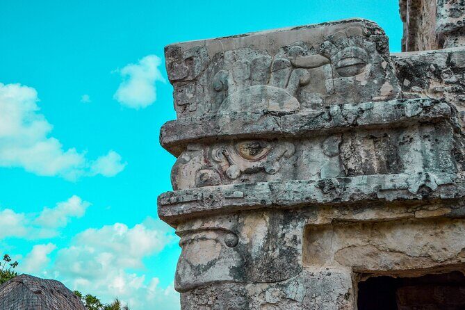 Private Tour to Tulum Ruins, Swim with turtles and Cenote Cave - Stop 2 at Akumal Beach: snorkeling with sea turtles (and the rules that protect them)
