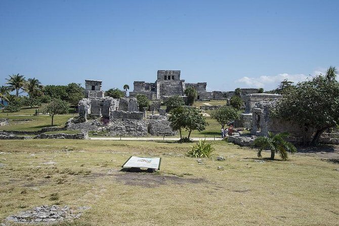 Private tour: Tulum Ruins & Jungle Adventure with Cenote - What to Expect Day-Of (And What to Bring)