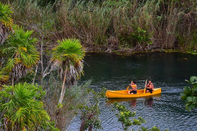Private tour: Tulum Ruins & Jungle Adventure with Cenote - Should You Book This Tulum and Cenote Private Adventure?