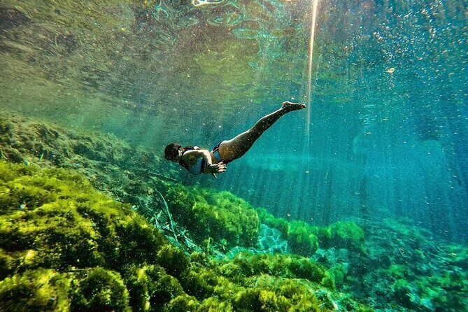 Private Tour Turtles Coral Reef Cenote Beach All inclusive - Reef Water + Turtle Time Without the Crowd Feeling