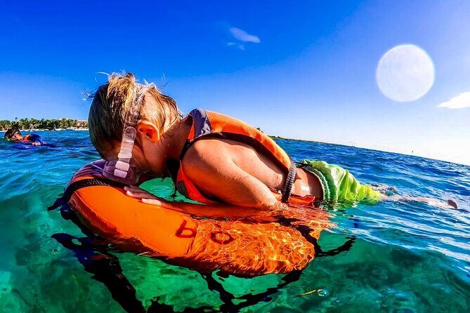 Private Tour Turtles Coral Reef Cenote Beach All inclusive - Jungle Fish Beach Club Lunch: Local Food Beats Fancy Boxes