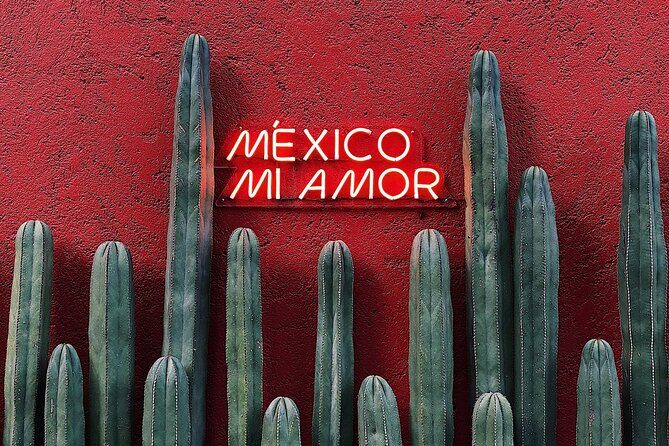 Private Transfer from Playa del Carmen to Tulum - The one risk to plan for: pickup clarity and last-minute changes