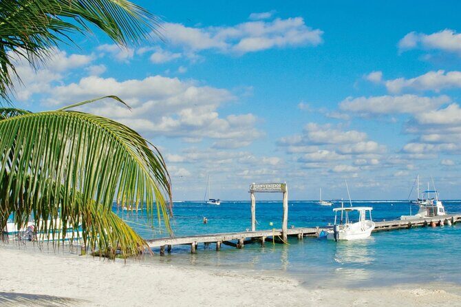 Private Transfer: Playa del Carmen to Cancun Airport CUN by SUV - Arrival at Cancun International Airport: plan the last steps smoothly